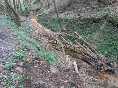 Imagen Previo a la actuación, acumulación de restos vegetales en el cauce, en las proximidades del sumidero de Carcavuezo