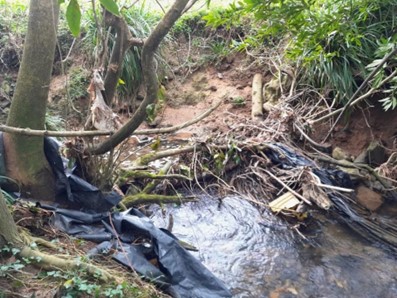 Imagen Previo a la actuación, se observan acumulaciones de restos vegetales y restos de origen antrópico