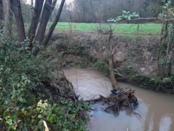 Imagen Antes de comenzar los trabajos , se observa un árbol caído en el cauce del arroyo de la Mina