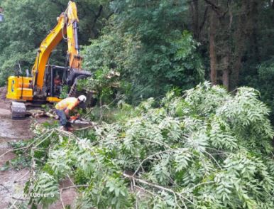 Imagen Trabajos de retirada de restos vegetales de grandes dimensiones con apoyo de retroexcavadora equipada con pinza