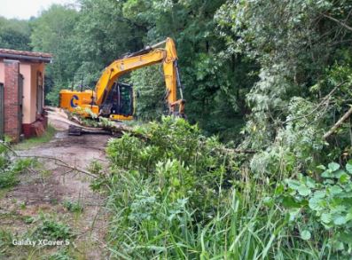 Imagen Trabajos de retirada de árbol caído en el cauce con retroexcavadora