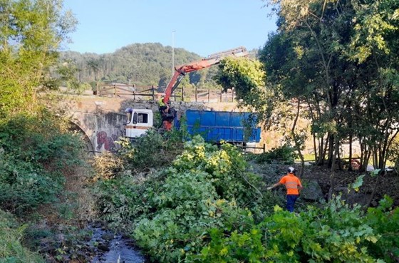 Imagen Retirada de vegetación con camión grúa equipado con pinza