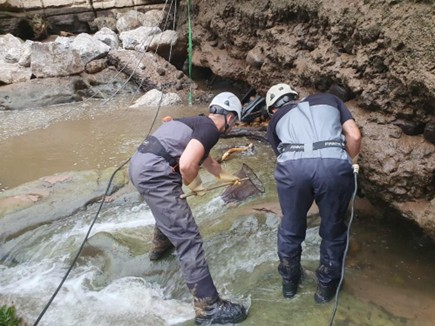 Imagen Durante los trabajos de rescate de la fauna piscícola
