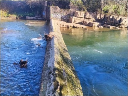 Imagen El azud del río Saja en Villapresente donde se aprecia el tramo sifonado