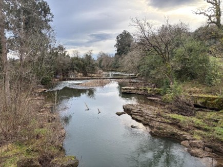 Imagen Tramo del río Saja donde se ubica la nueva estación de medición de caudales