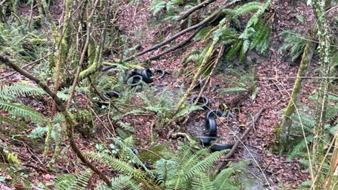 Imagen Antes de los trabajos