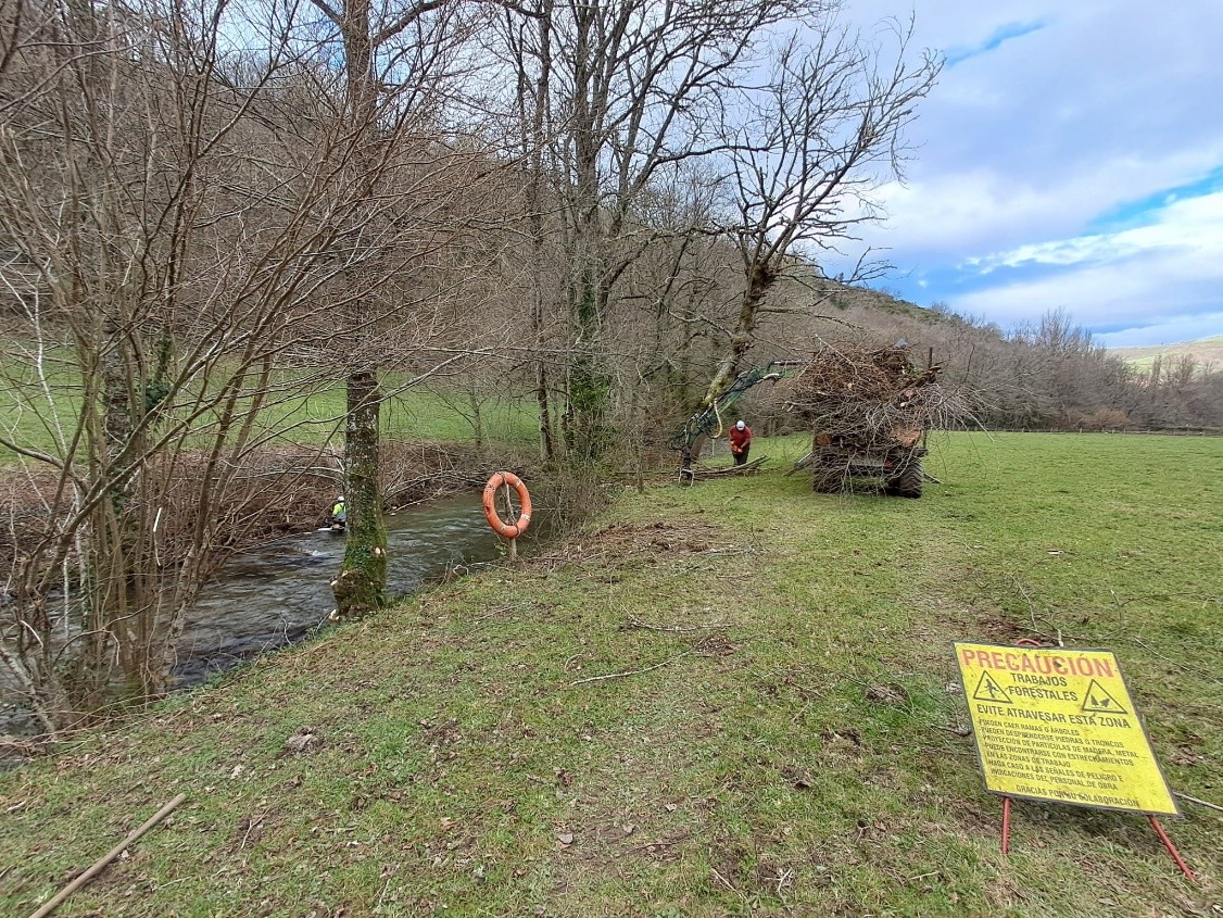 Imagen Operarios retirando restos vegetales