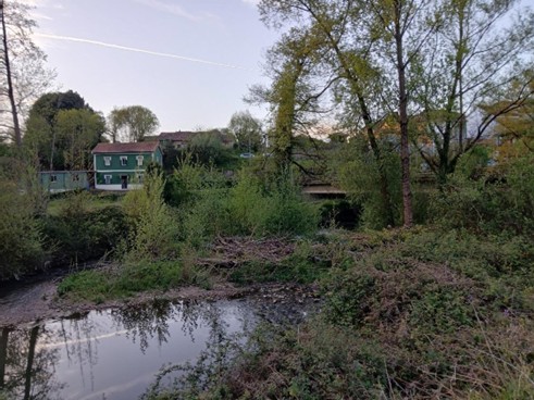 Imagen Antes de los trabajos en el río Nora en Les Folgueres