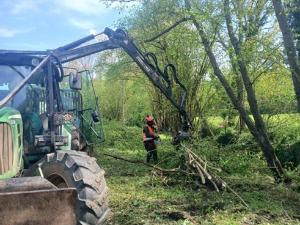 Durante los trabajos