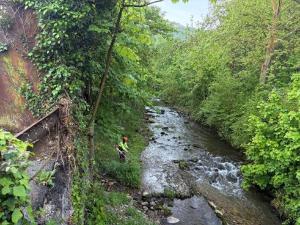 Durante los trabajos