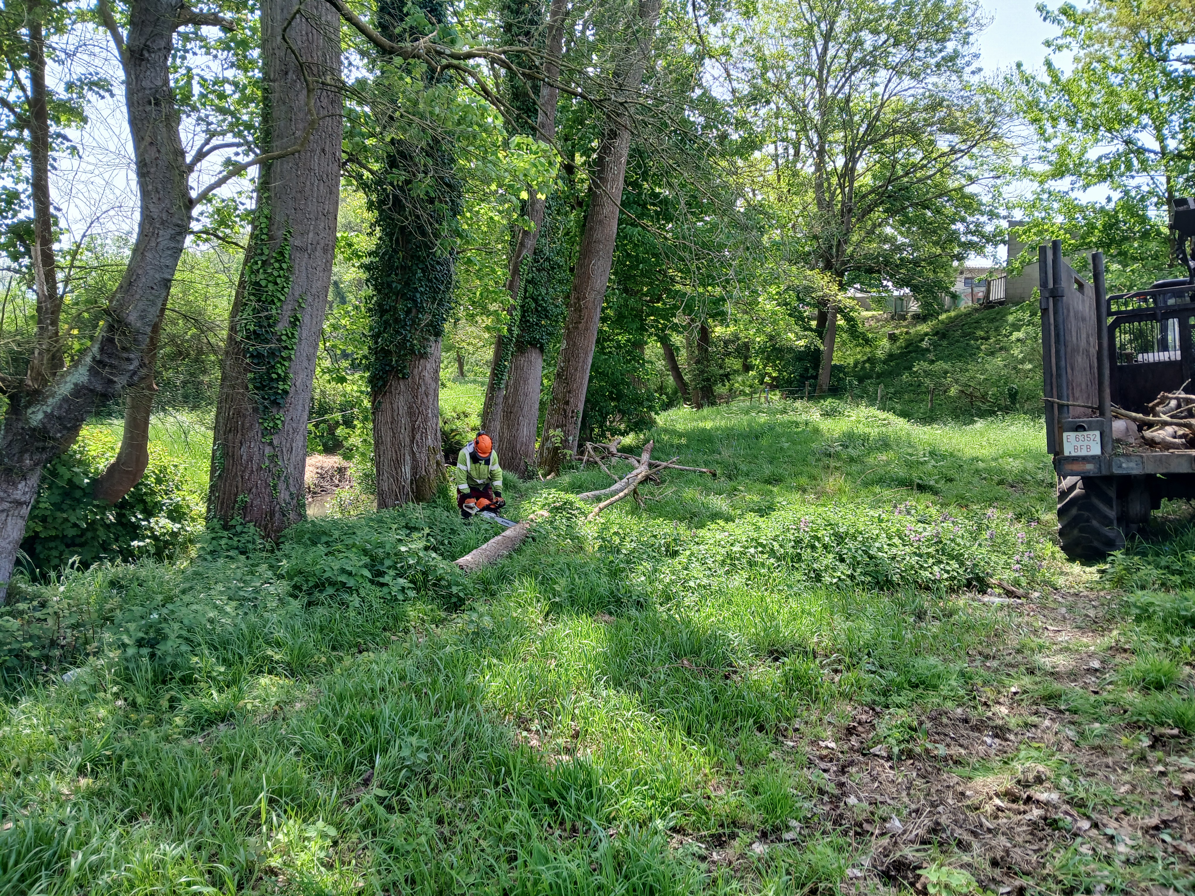 Durante los trabajos