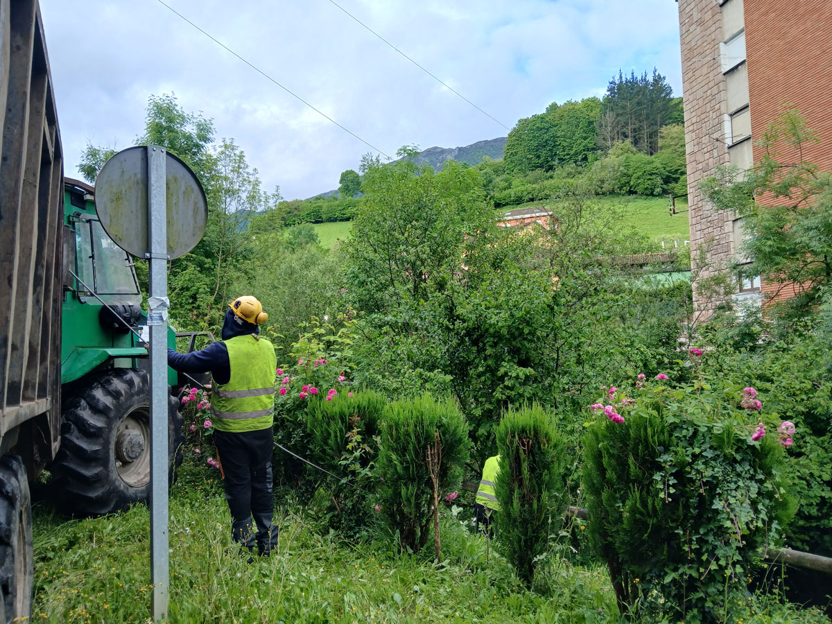 Durante los trabajos