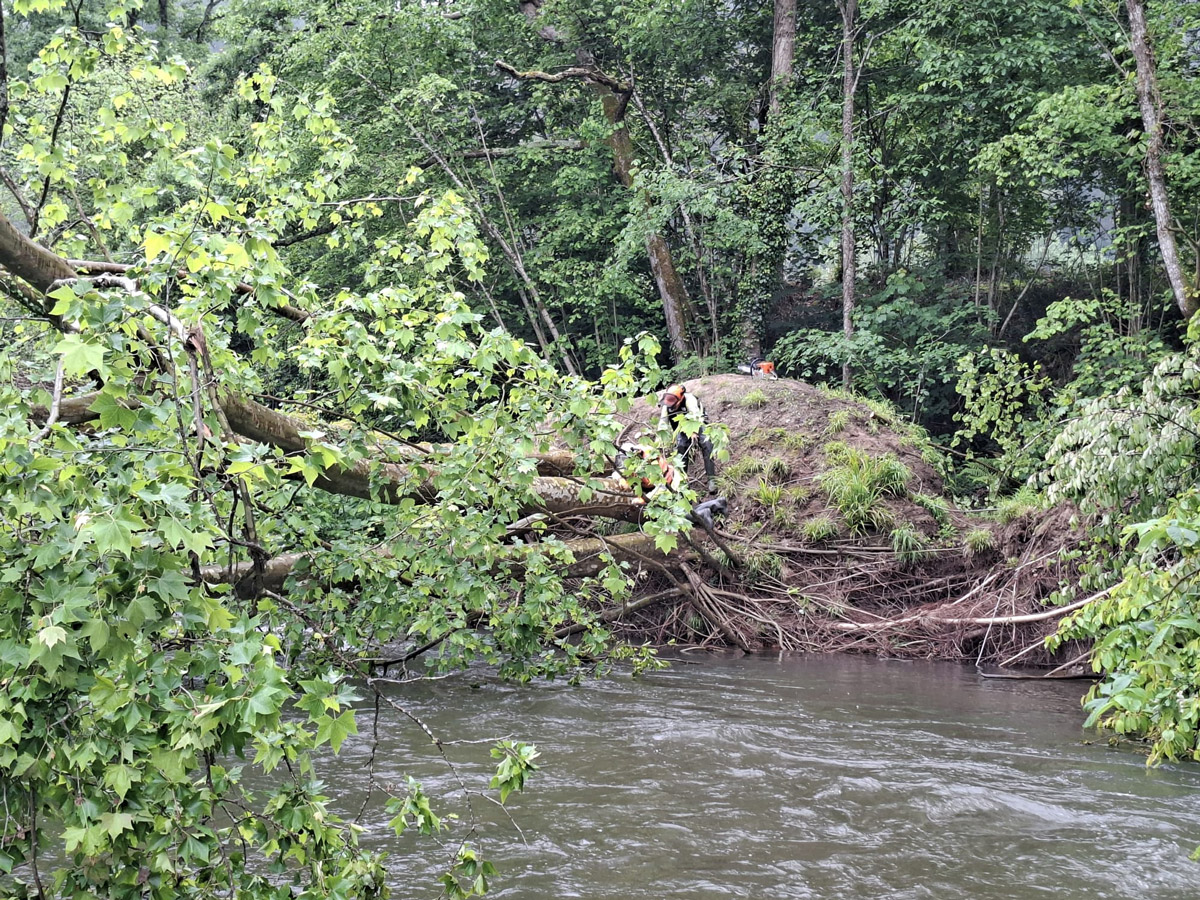 Durante los trabajos en el río Piloña en Parres