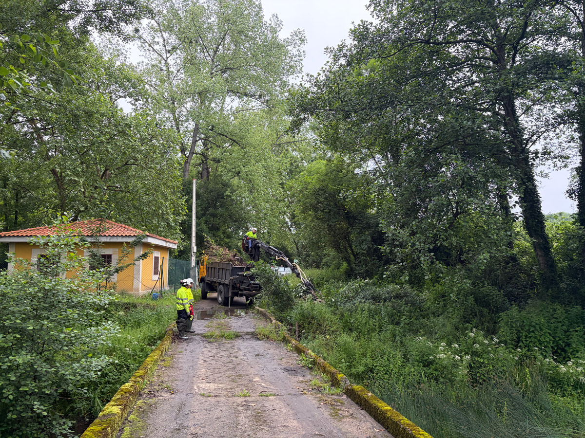 Durante los trabajos en el río Nora en Castañera