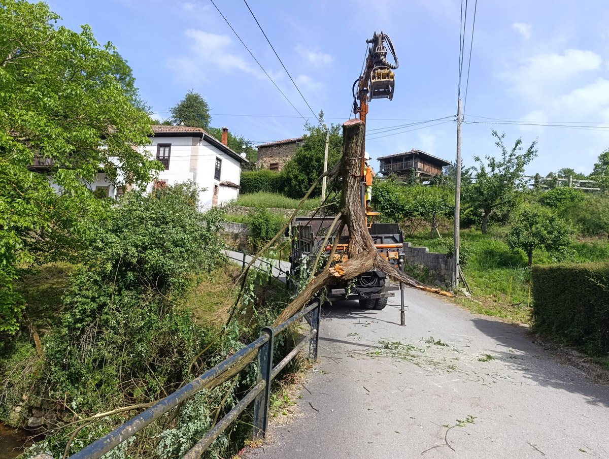 Durante los trabajos