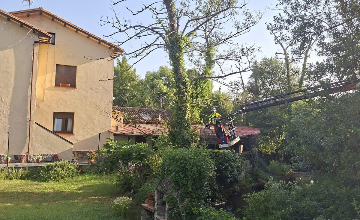 Durante los trabajos