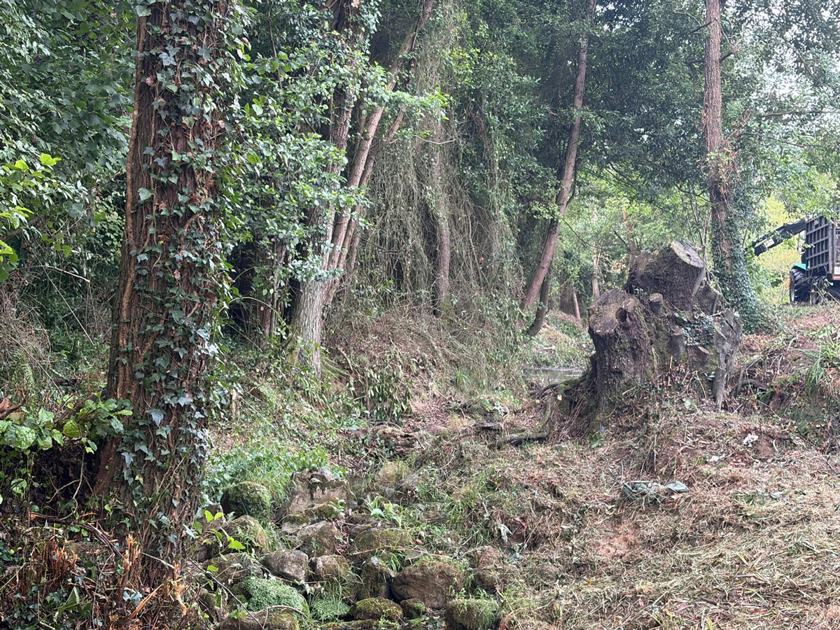 Imagen Después de los trabajos en el río Pinzales