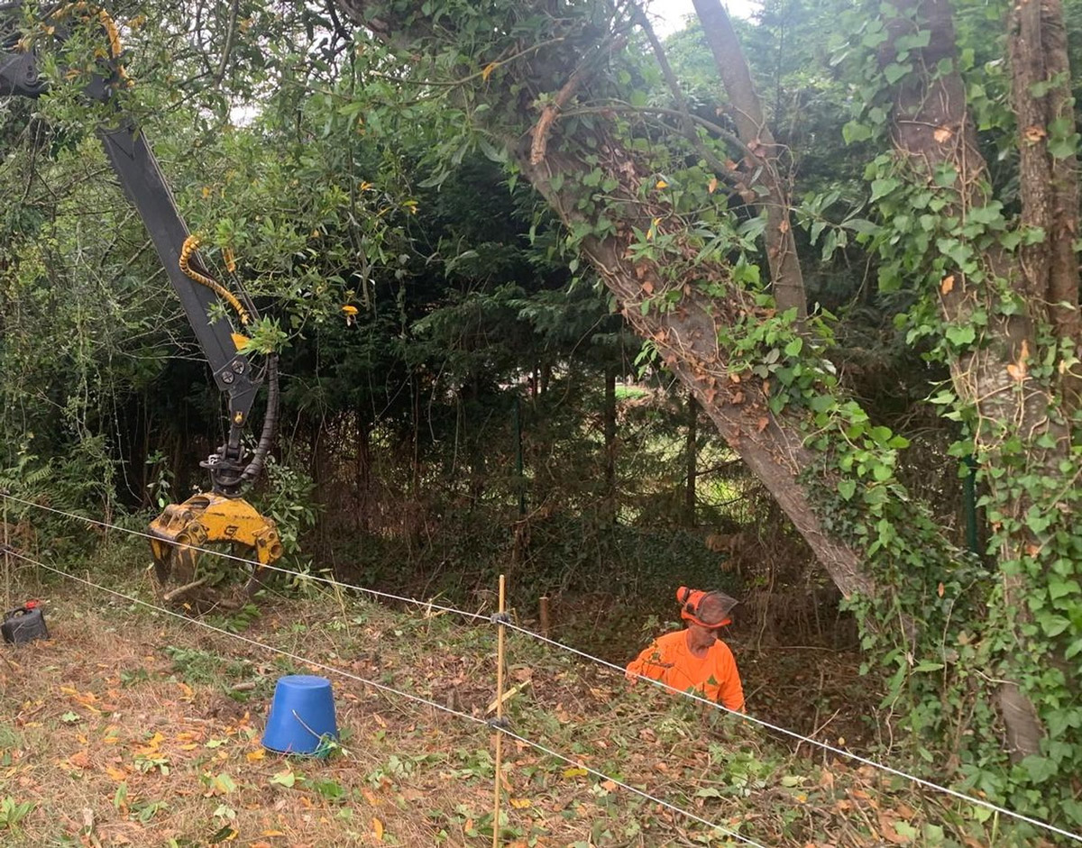 Imagen Durante los trabajos en el arroyo Santurio