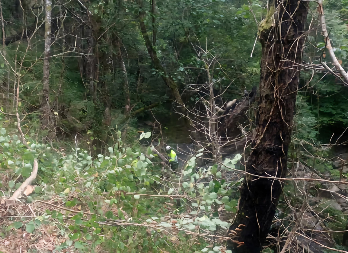 Imagen Durante los trabajos en el río Eo en Silvadrosa