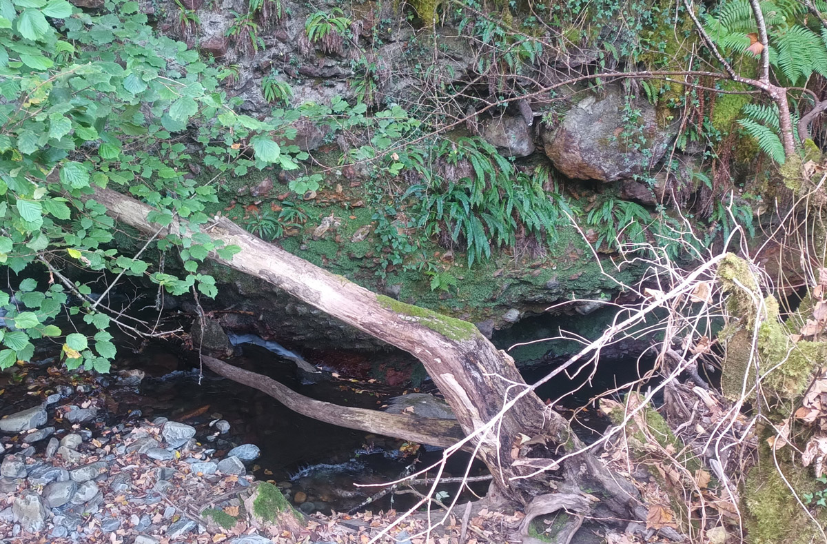 Imagen Antes de los trabajos el río Balouta en Murias