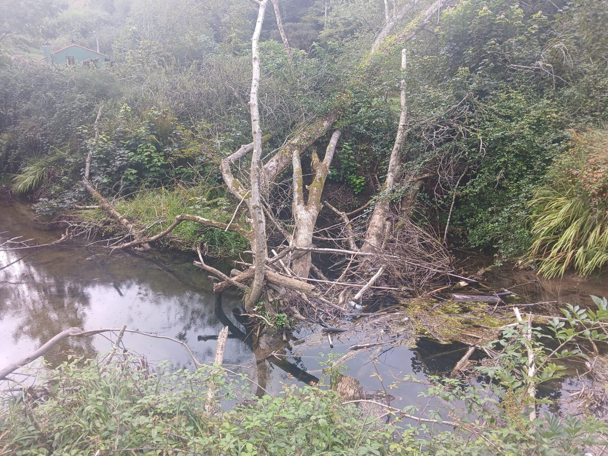 Imagen Antes de los trabajos en el río España