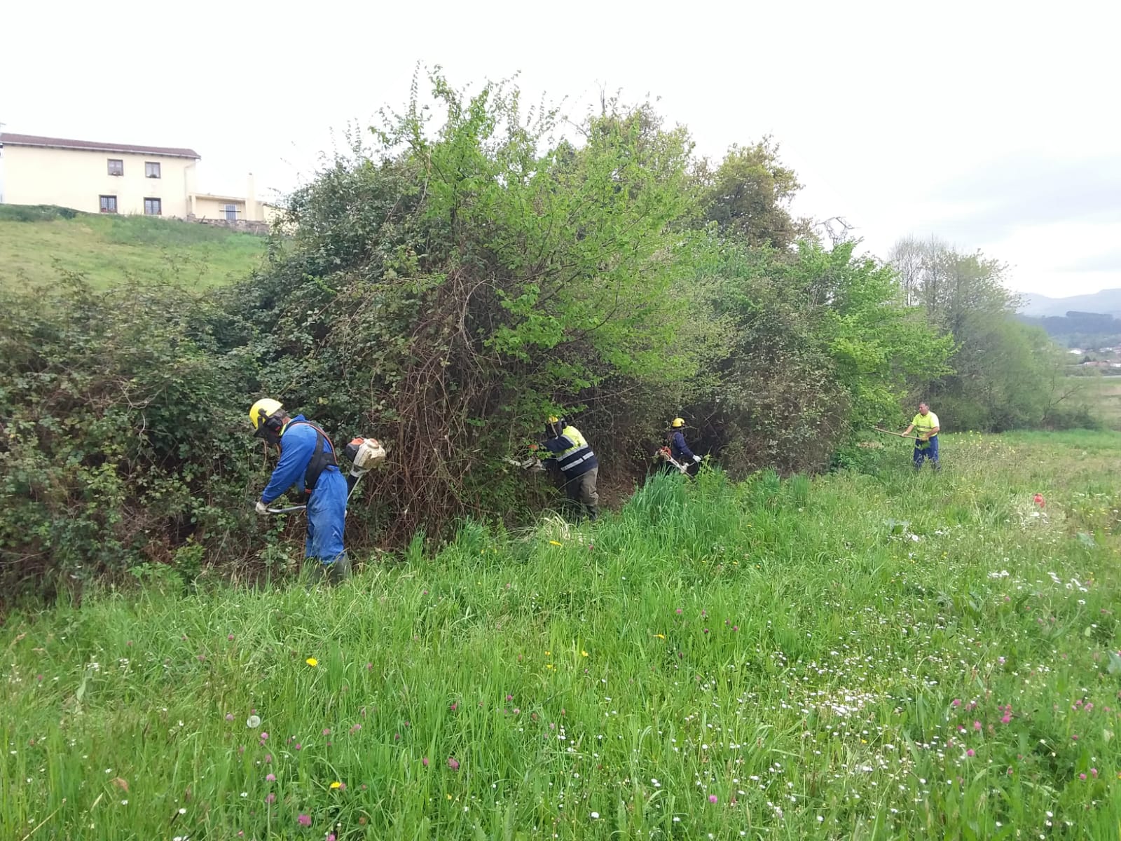 Limpieza río Asón  09-04-2019