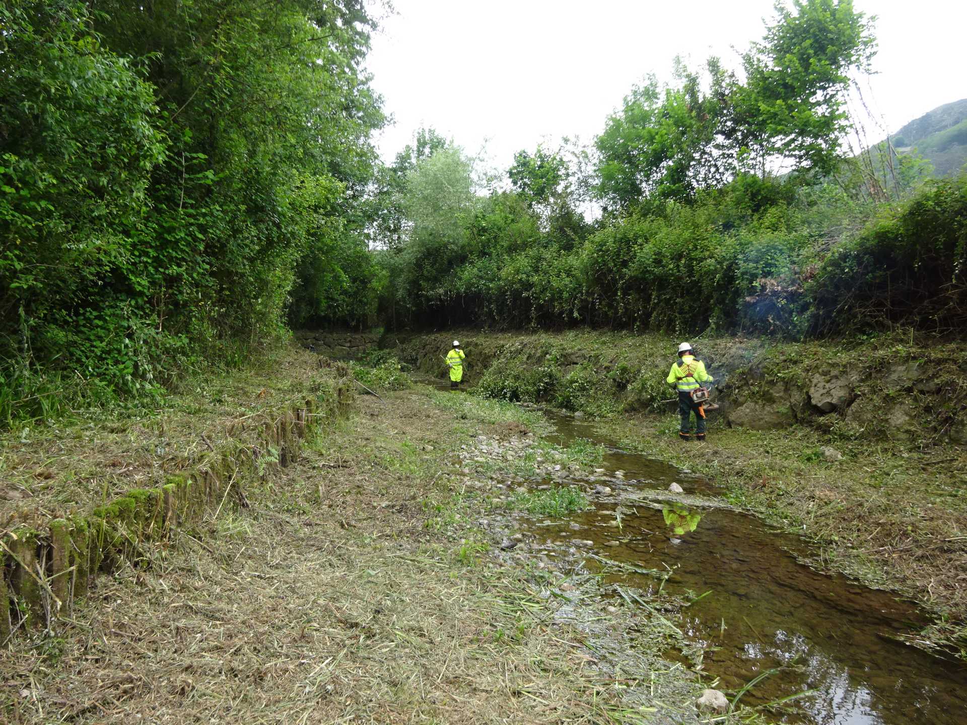 Limpieza río Barrea  10-06-2019