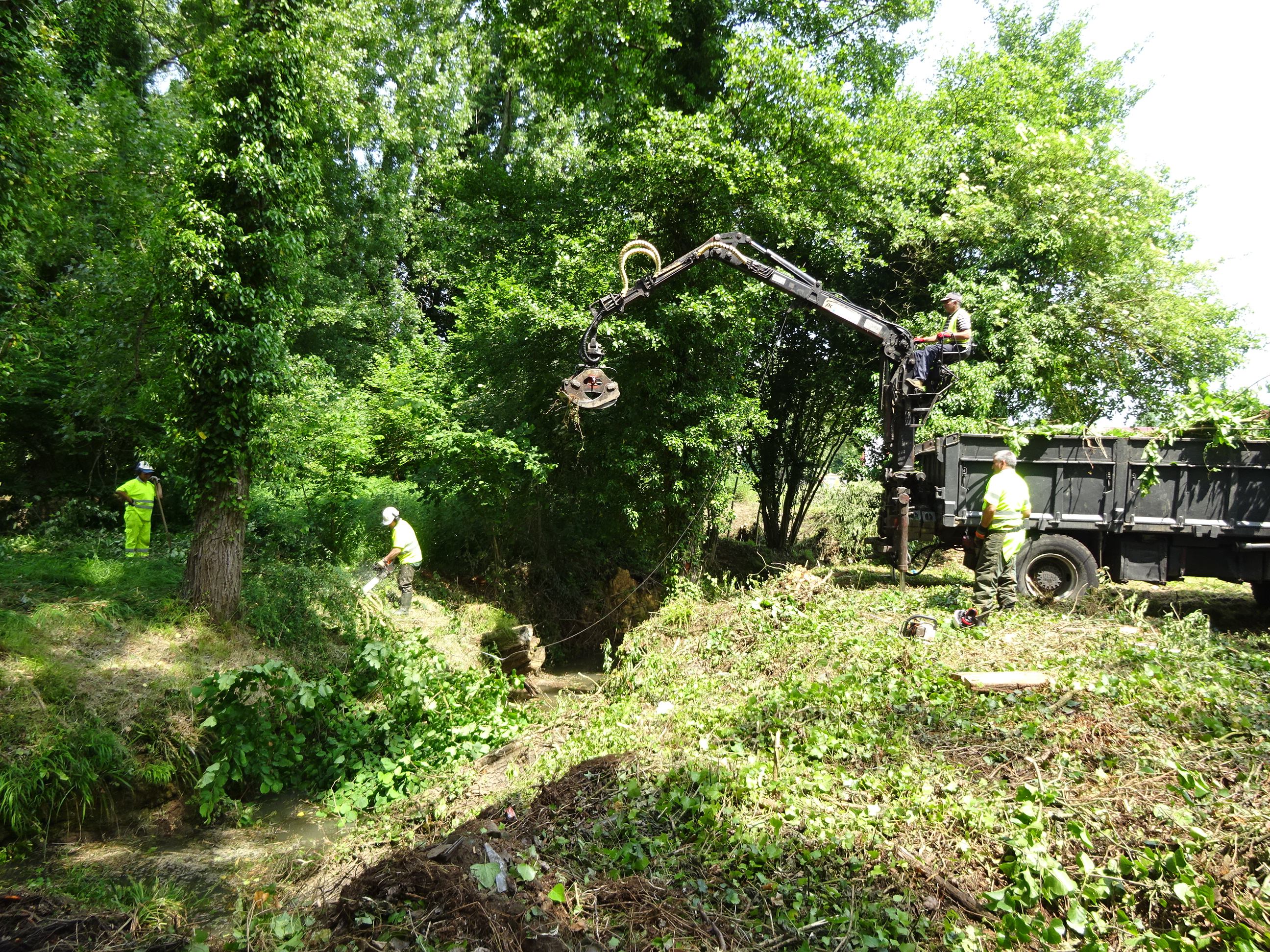 Limpieza río Ferrera  24-06-2019