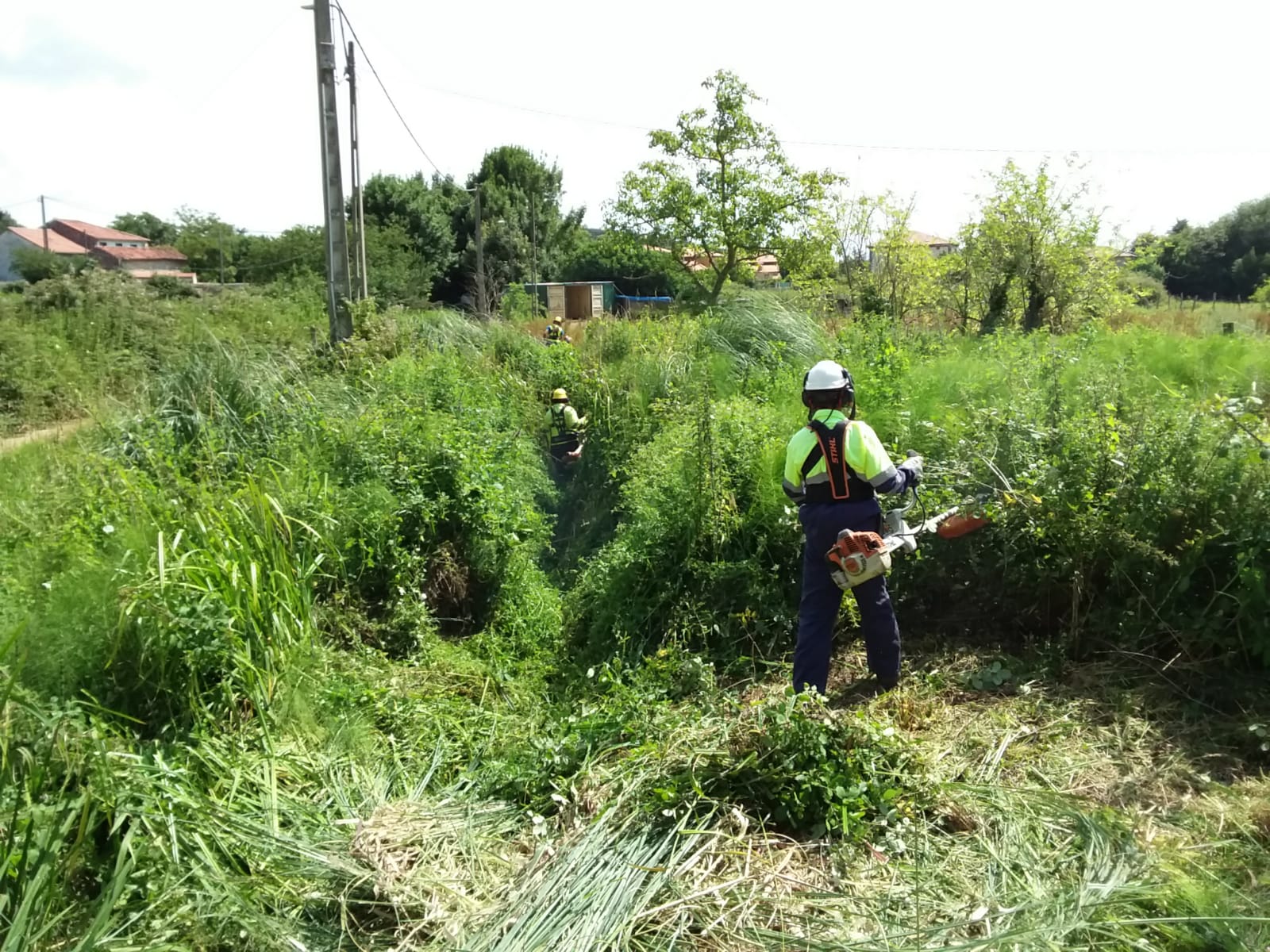 Limpieza Camargo  01-07-2019