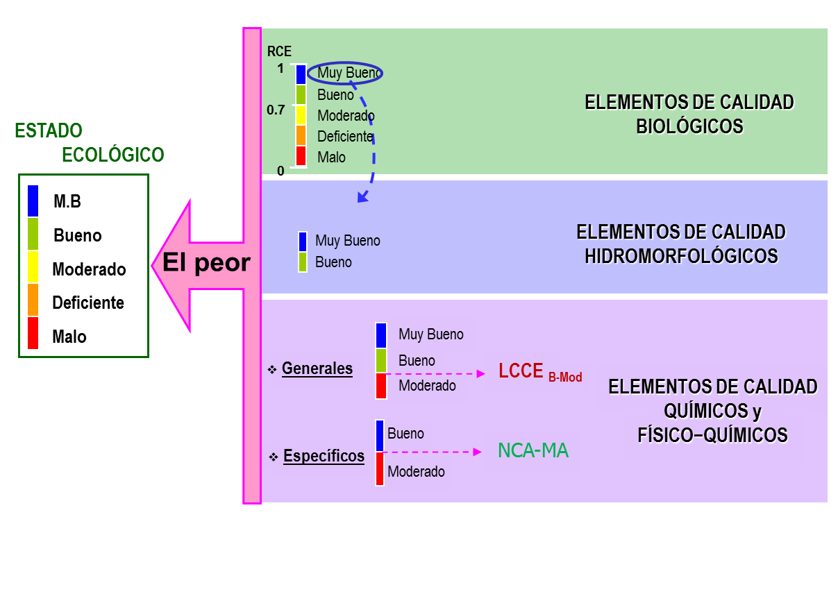 Gráfico estado ecológico