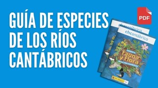 Guía de especies