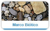 Acceder al apartado de Marco Biótico