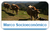 Acceder al apartado de Marco Socieconómico