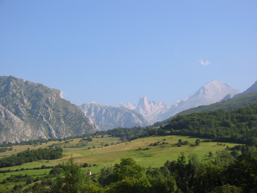 Naranjo de Bulnes