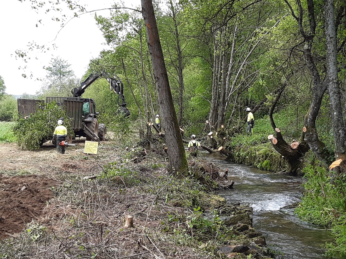 Trabajos de acondicionamiento en el cauce del río Lameirón