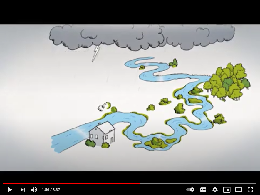 Vídeo inundabilidad MITECO