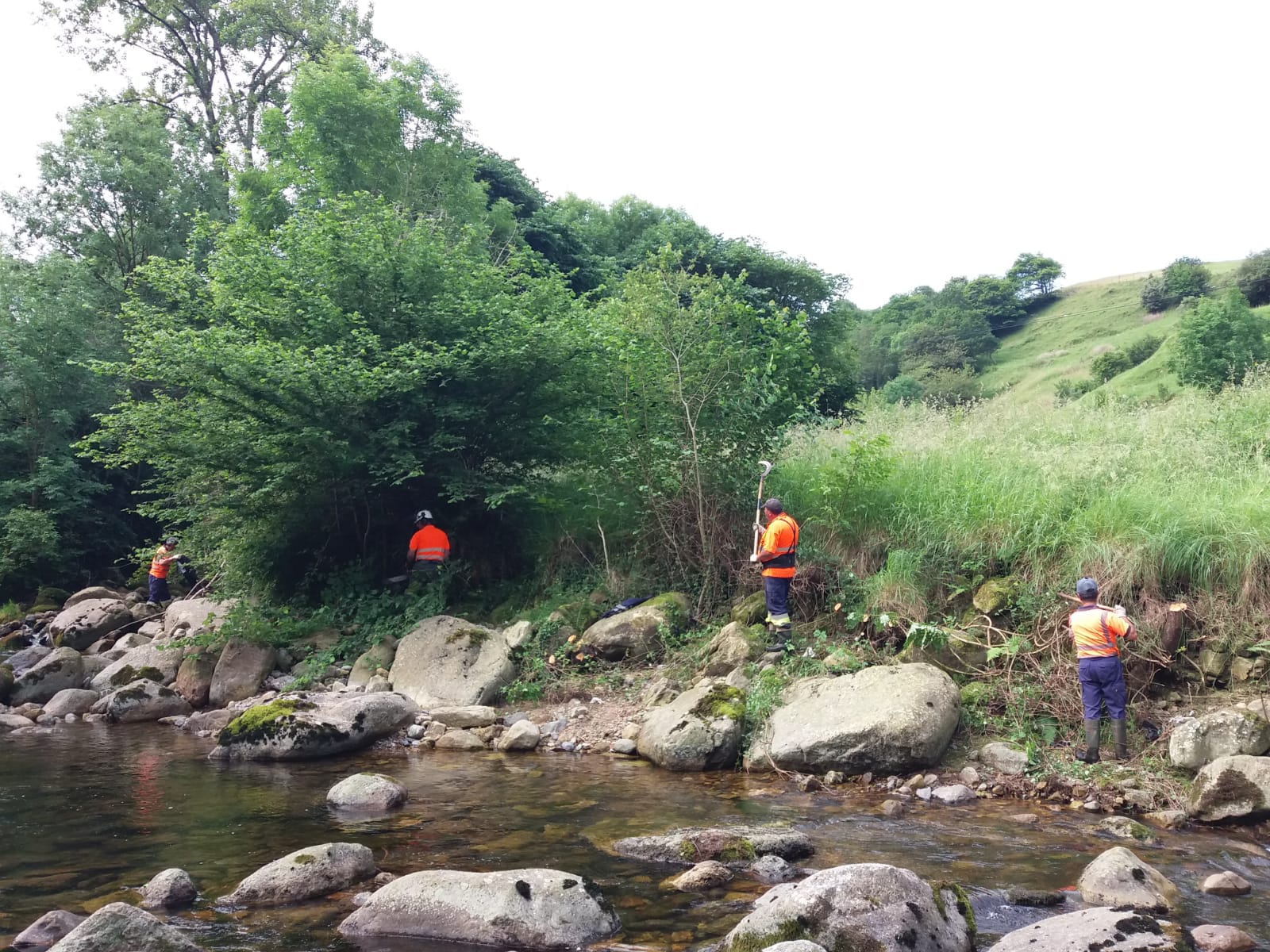 Actuaciones en el río Tanea y en los arroyos de Quintanilla