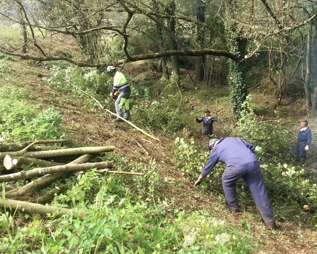 Imagen de las actuaciones