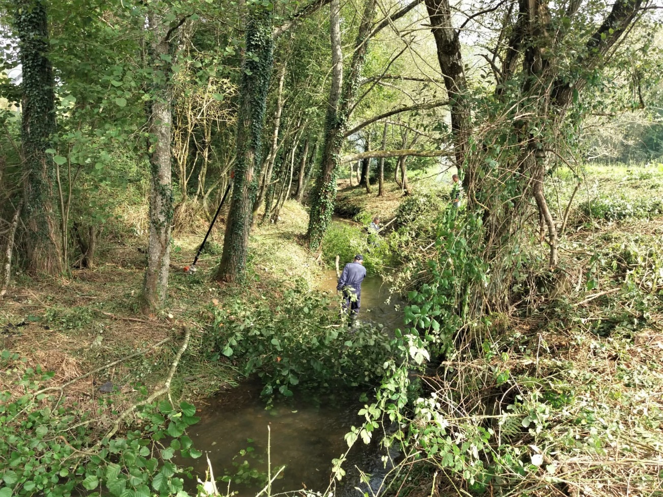 Imagen de las actuaciones