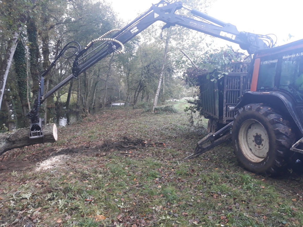 Retirada de arbolado