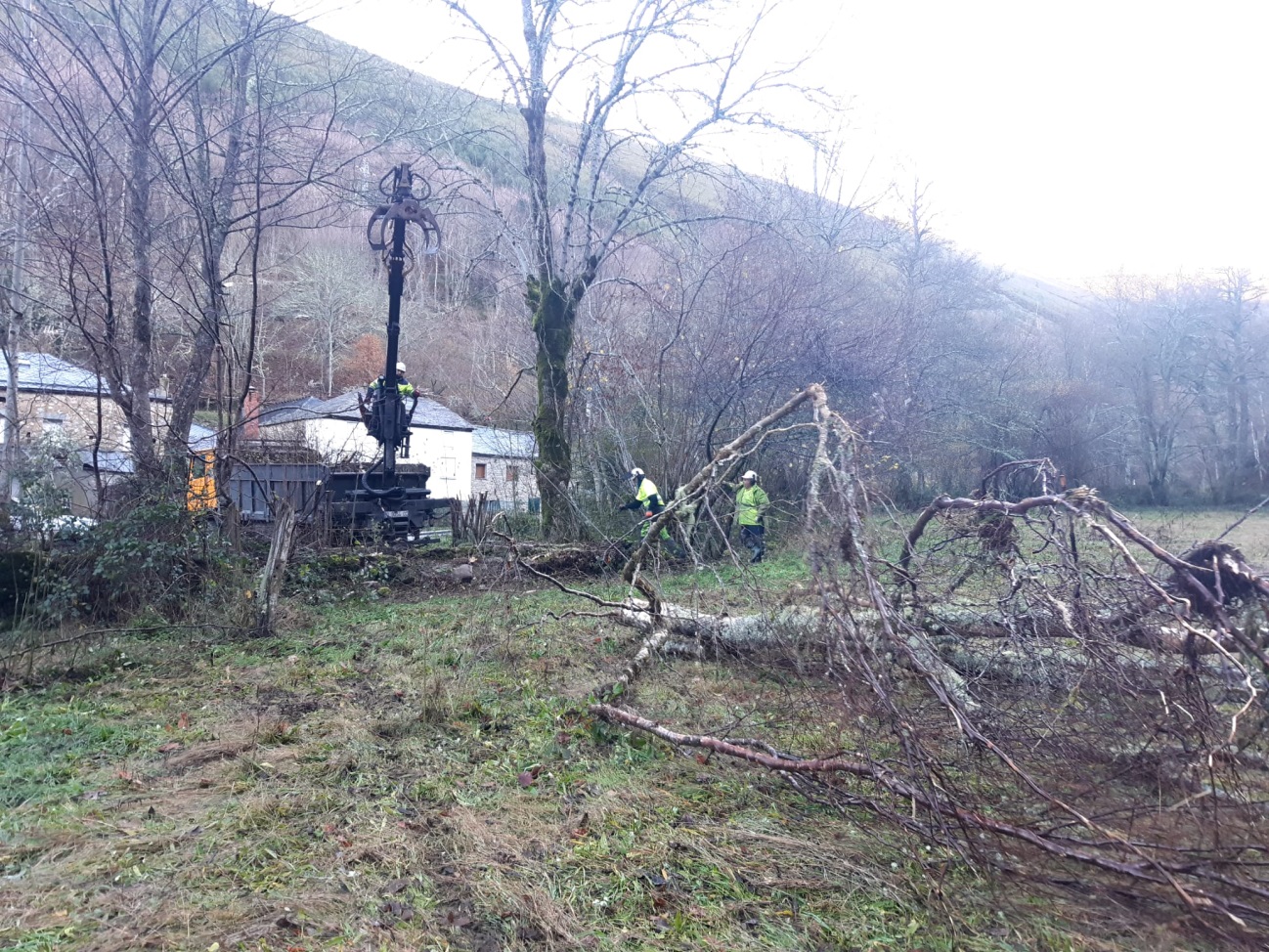 Imagen Detalle de la actuación