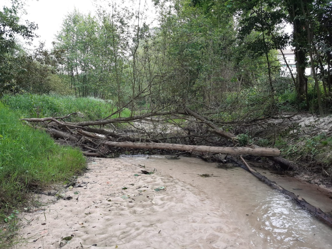 Imagen Estado anterior a la retirada de restos vegetales en el río Calabrés (T.M. Llanes)