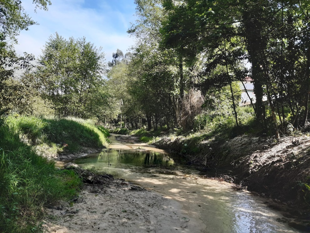 Imagen Estado posterior a la retirada de restos vegetales en el río Calabrés (T.M. Llanes)
