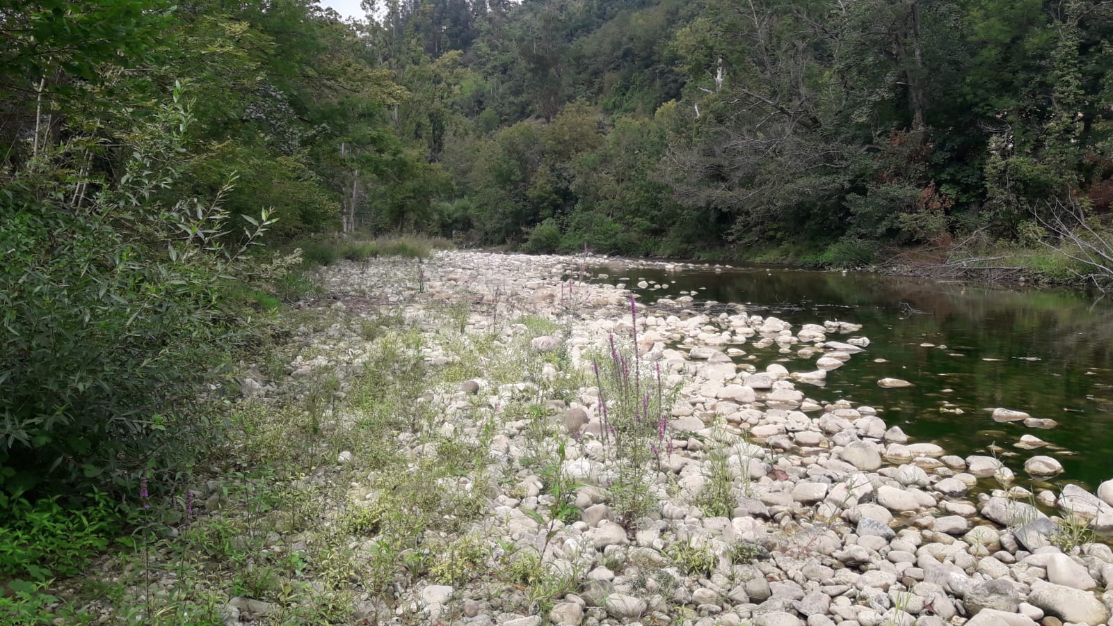Imagen Estado posterior a la actuación en un tramo del río Nalón