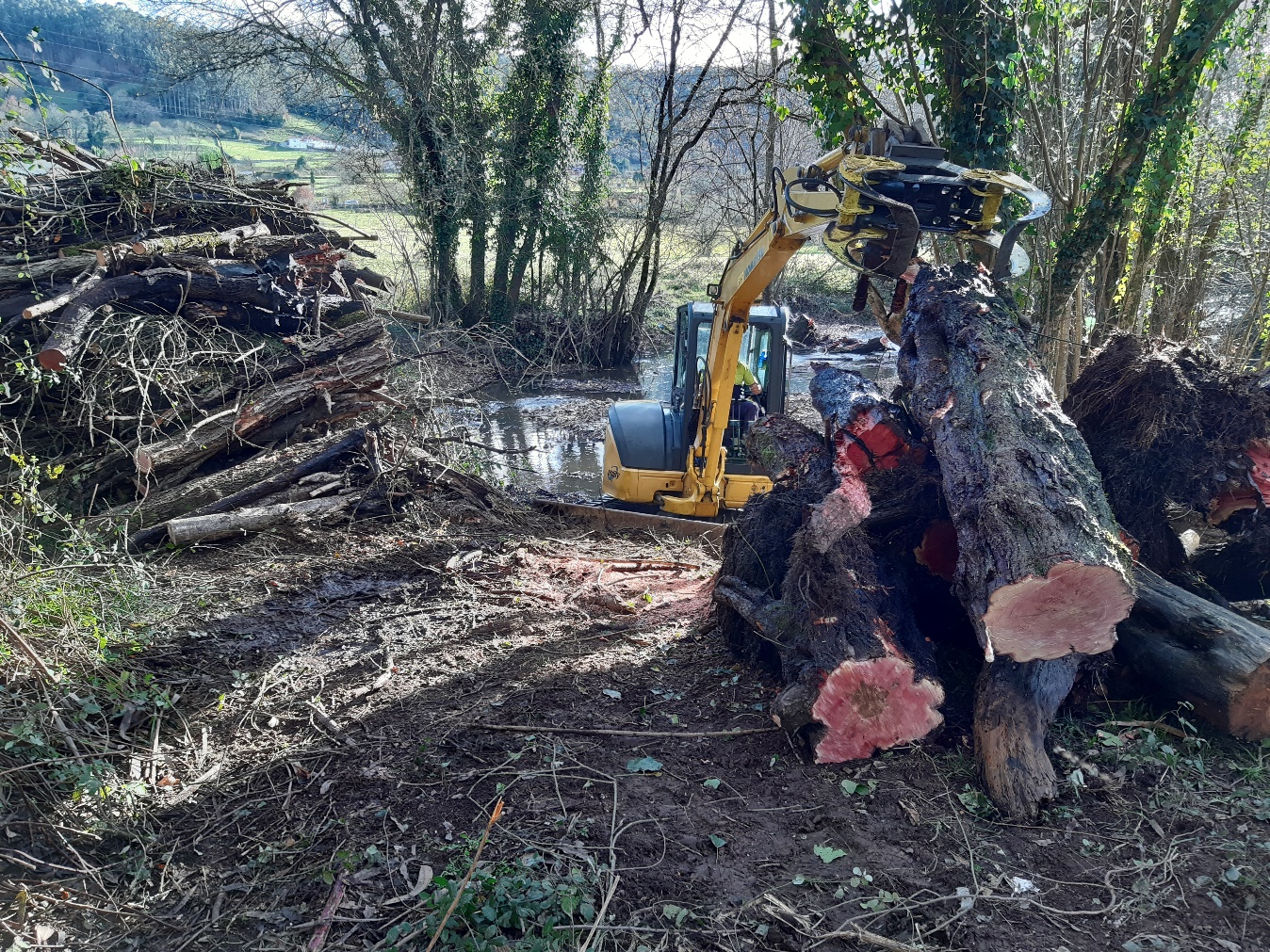 Imagen Mini-retro extrayendo árboles del río