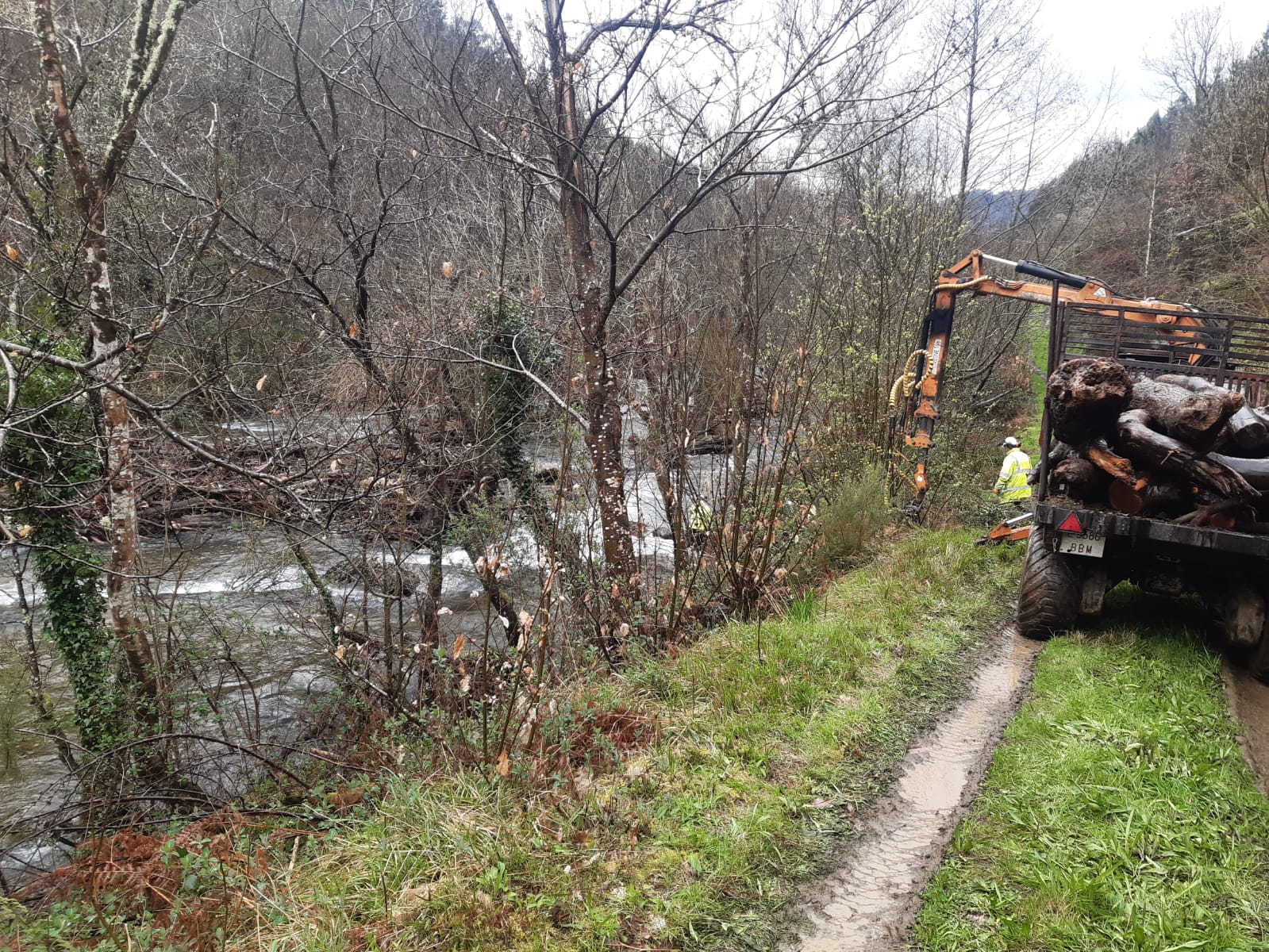 Imagen Autocargador retirando tronco del río Rodil en Os Cangos