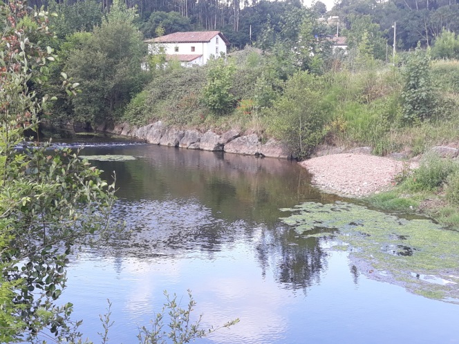 Imagen Río Linares en las proximidades de la actuación