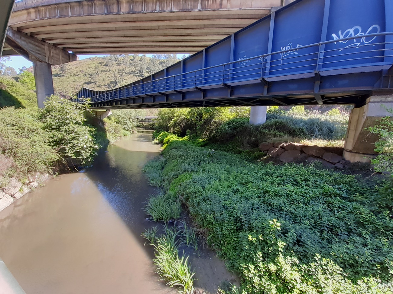 Sedimentos acumulados en el cauce del río Aboño en Veriña