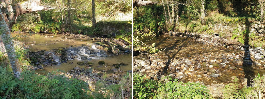 Demolición de azud en la Reserva Natural Fluvial  Río Porcía (Asturias) con cargo al Plan PIMA Adapta