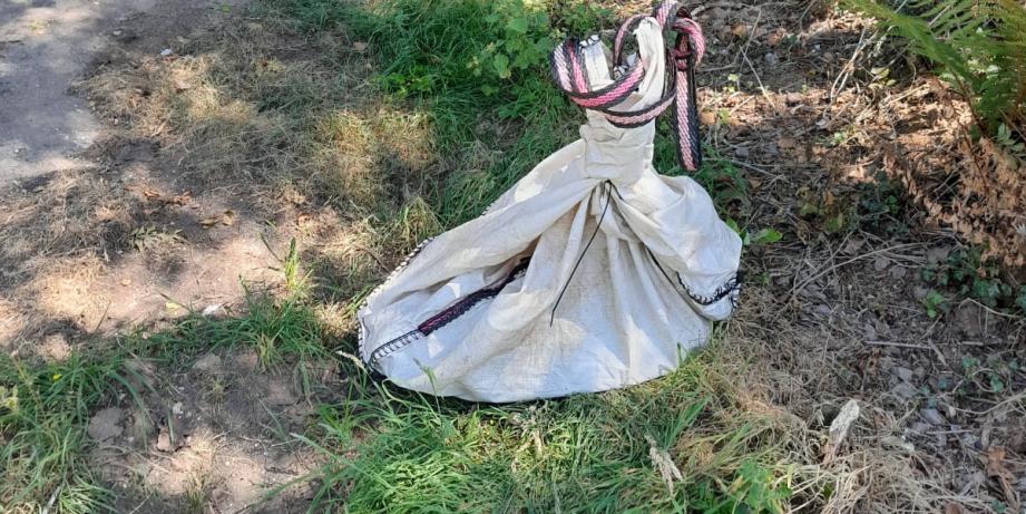Imagen Animal muerto retirado del río y listo para que lo recojan los gestores de residuos autorizados